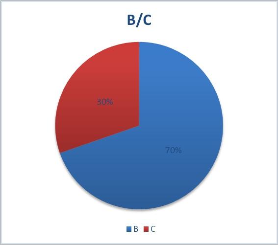 BC买家占比，B类批发为主，占比达到70%。