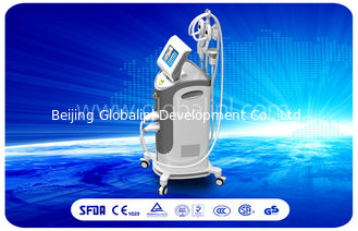 Cool Shaping Equipment Cryolipolysis Machine For Fat Freezing Slimming