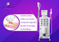 3 Handpiece SHR IPL Beauty Machine For Hair Removal / Pigment Therapy