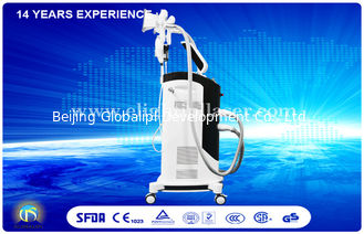 4 System Cryolipolysis Slimming Machine For Professional Reduce Cellulite