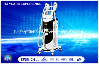 Female Vertical Cryolipolysis Equipment , Professional Weight Reduction Machine